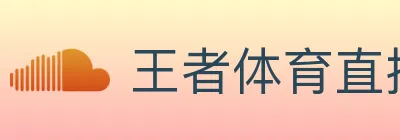 王者体育直播 logo